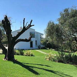 Villa Il Bacio del Sole